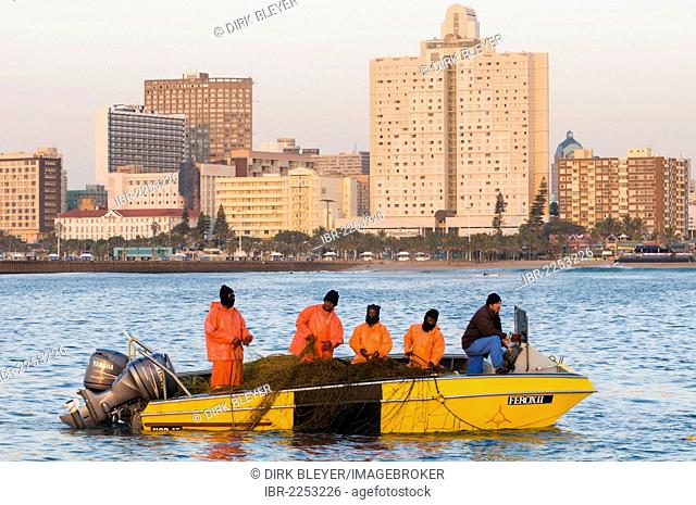Team in a boat checking nets protecting the coast from sharks, skyline, coast, Durban, KwaZulu-Natal, South Africa, Africa