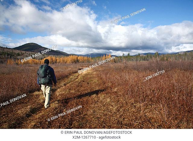 Hiker along the Downes – Oliverian Brook Ski Trail  This trail follows the old Swift River Railroad bed, which was an logging railroad in operation from 1906 -...