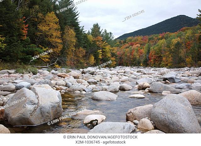 East Branch of the Pemigewasset River in Lincoln Woods during the autumn months in Lincoln, New Hampshire USA