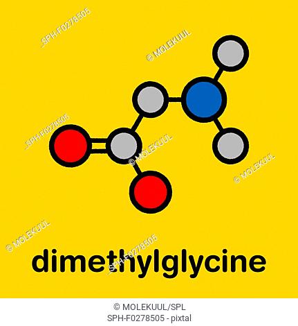 Dimethylglycine molecule, illustration
