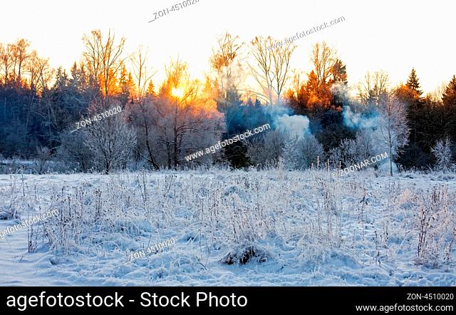 Beautiful winter sunset near the forest. Nature background