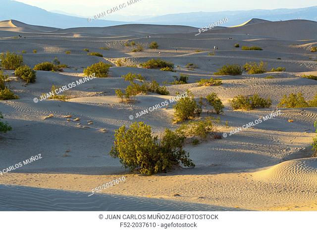 Mesquite Flat Sand Dunes, Death Valley National Park, California, USA, America