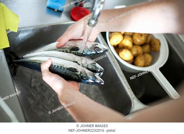 Hands washing fish