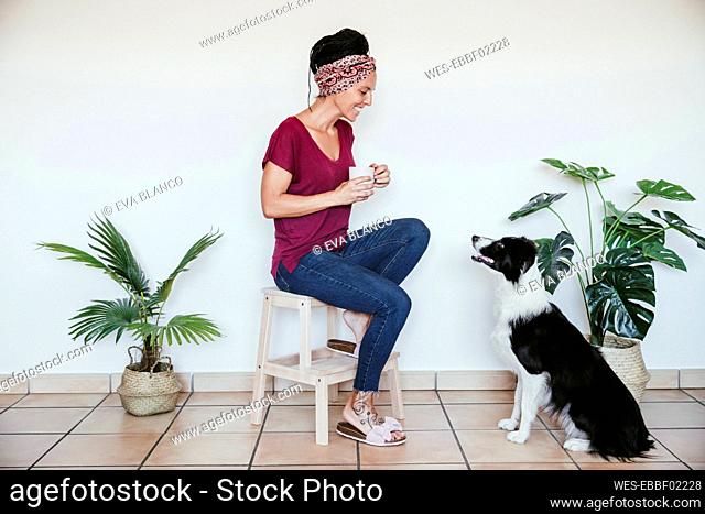 Woman smiling at Border Collie while sitting on stool with coffee cup against wall