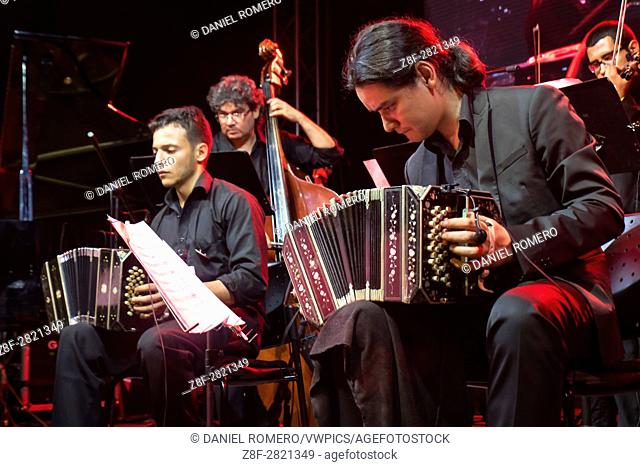 Young man playing the bandoneon in milonga, party where you only dance tango, milonga and vals criollo with the Tango Orchestra of the Music School Network