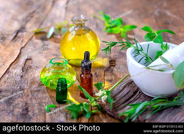Mortar with fresh flowers and essential oil isolated