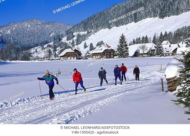 Cross Country Skiing in the Black Forest