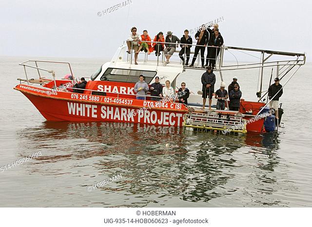 Tourists on Great White Shark Dive, Dyer Island, Danger Point Peninsula, South Africa