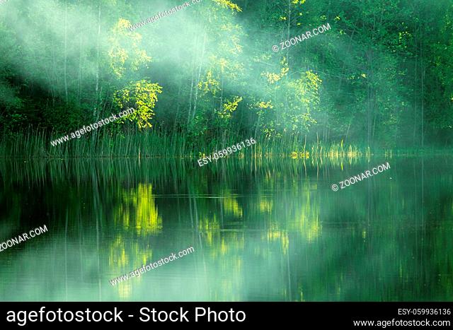 Spring in all its glory! Beautiful river with forest banks and birch trees in fresh foliage. Fog crawls over water as band, brilliant haze in sunlight