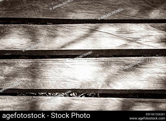 Old black and white picture of a texture and pattern of wooden walking trails and bridge at the tropical natural jungle forest plants palm trees in Sian Ka'an...