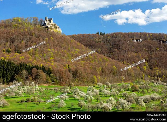 Reussenstein castle ruins above the Neidlinger valley, Baden-Württemberg, Germany