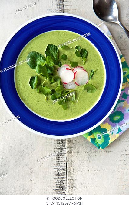 Spinach soup with radish slices