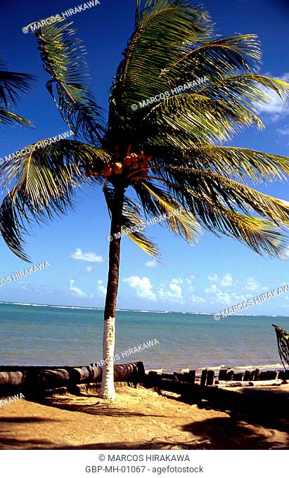 Beaches of Maragogi, Alagoas, Brazil