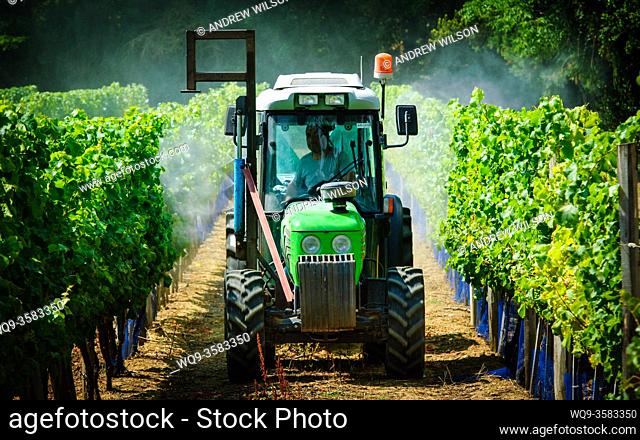Farmer spraying the vineyard with water in the Dordogne, France in summer