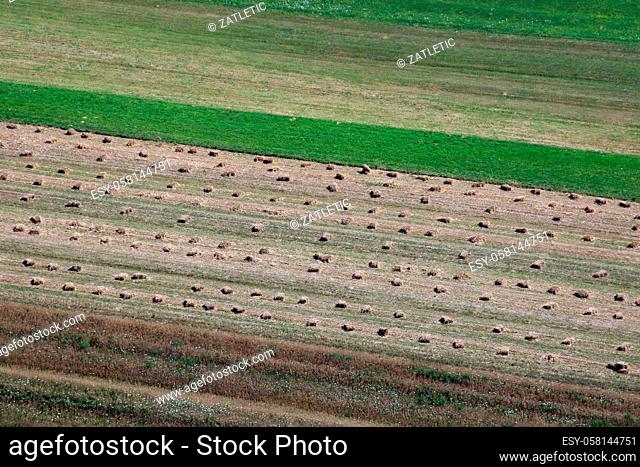 Aerial view Haystacks on the harvest fields in summertime, Zdencina, Croatia