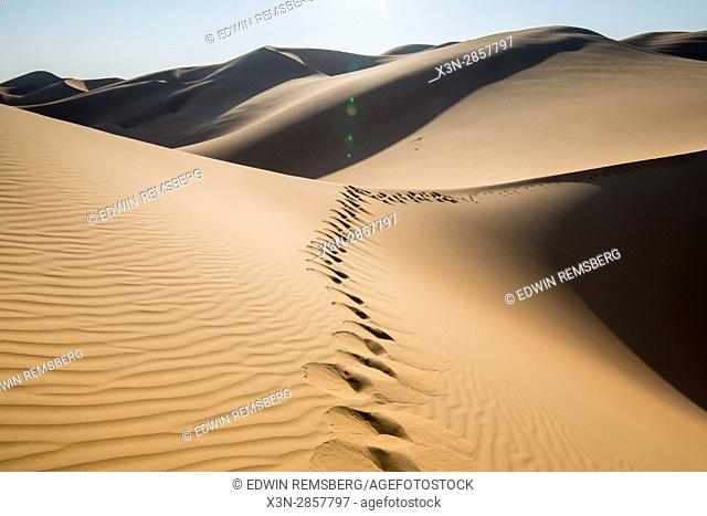 Liwa Oasis, Abu Dhabi , United Arab Emirates -, tracks in the sand dunes in the desert The Empty Quarter (Rub' al Khali) of the arabian peninsula is the largest...