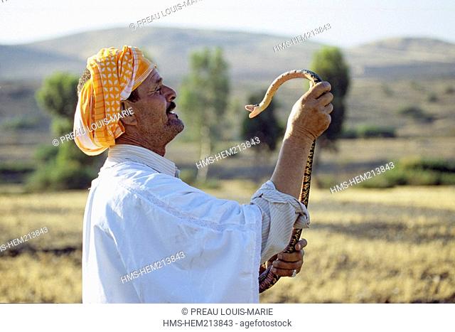 Morocco, Marrakech-Tensift-El Haouz region, snake charmer
