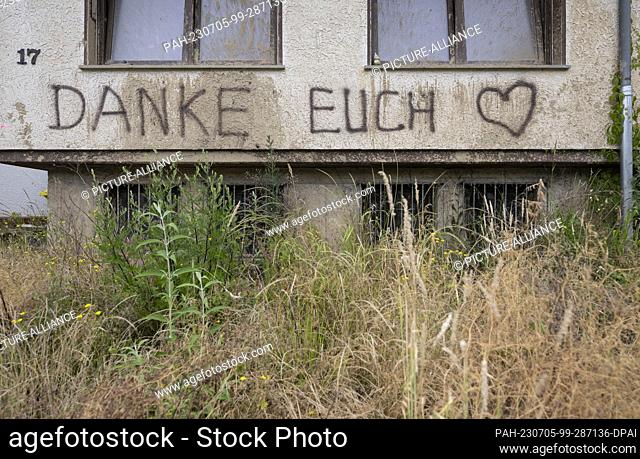 PRODUCTION - 28 June 2023, Rhineland-Palatinate, Dernau: While the weeds grow meters high in the garden, the mud-splattered facade of this destroyed house in...