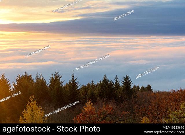 View from the mountain at sunrise to sea of clouds in autumn, Katzenbuckel, Waldbrunn, Odenwald, Baden-Württemberg, Germany