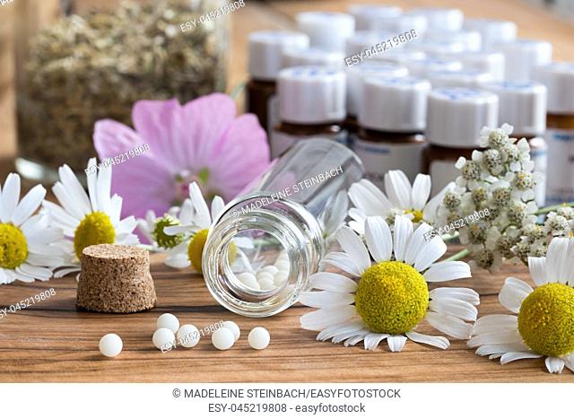 A bottle of homeopathic globules with chamomile and other herbs and flowers in the background