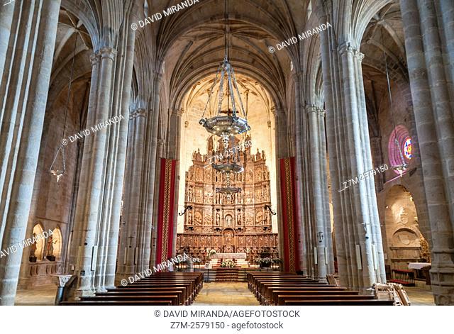 Retablo de madera y bóveda de la Iglesia concatedral de Santa María. Ciudad de Cáceres. Extremadura. España. Patrimonio de la Humanidad