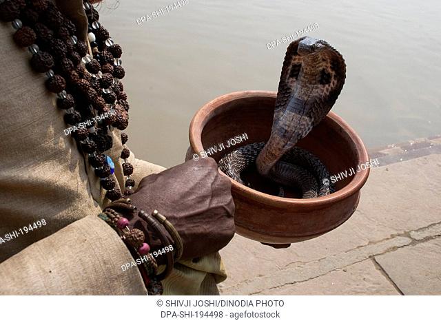 Snake charmer ganga river, varanasi, uttar pradesh, india, asia