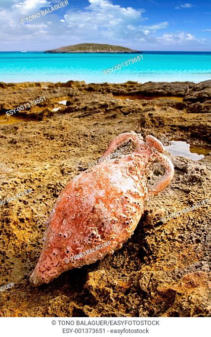 Amphora roman clay pottery with marine fouling in Mediterranean rock beach