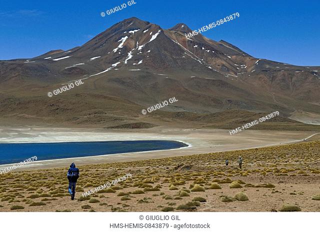 Chile, Antofagasta Region, Altiplano, Atacama Desert, Los Flamencos National Reserve, Laguna Miscanti (4200 m) in the Andes