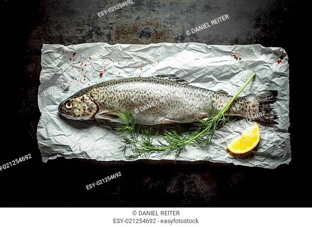 Close up Fresh Fish Meat on Top of a Paper with Green Herb and a Slice of a Lemon, Placed on Top of a Rustic Table, Captured in High Angle View