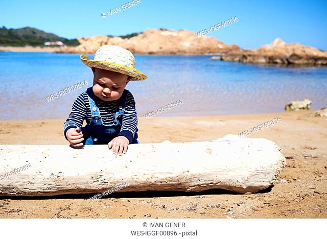 Spain, Menorca, toddler playing with deadwood on the beach