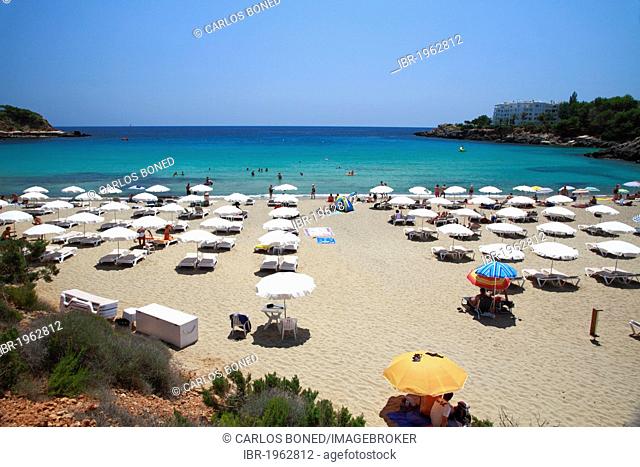 Sunshades on the beach of Cala Lenya, Ibiza, Spain, Europe
