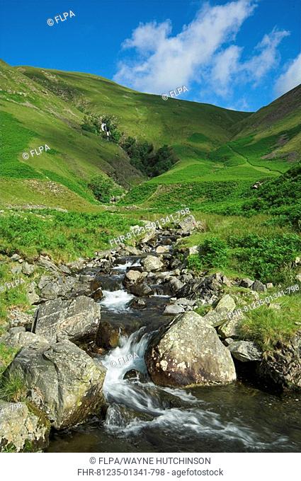 Mountain stream, Cautley Spout, Howgill Fells, Cumbria, England