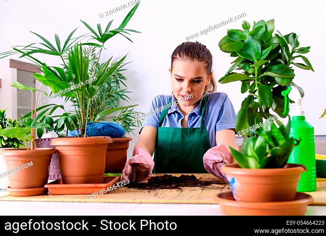 The young female gardener with plants indoors
