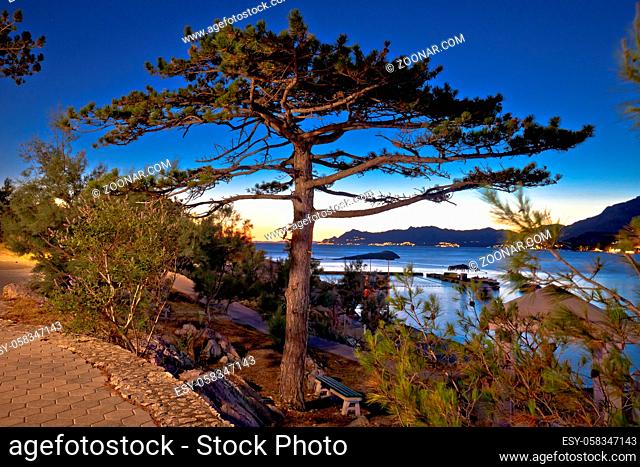 Makarska beach and pine tree sunset view, Dalmatia region of Croatia