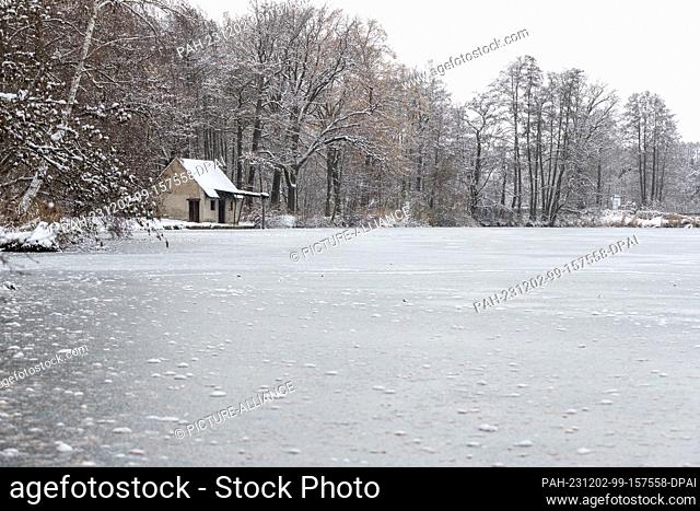 02 December 2023, Brandenburg, Kolkwitz: A fishing pond in Kolkwitz in southern Brandenburg is covered with a thin layer of ice that is not yet stable
