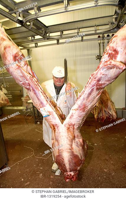 Butcher, Pavillon des Viandes V1P, meat hall, Rungis wholesale market near Paris, France, Europe