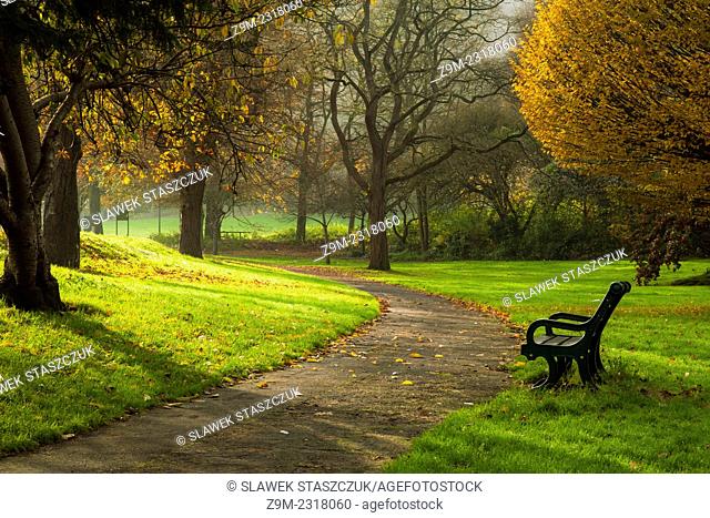Autumn afternoon in Coldean on the outskirts of Brighton, East Sussex, England, United Kingdom