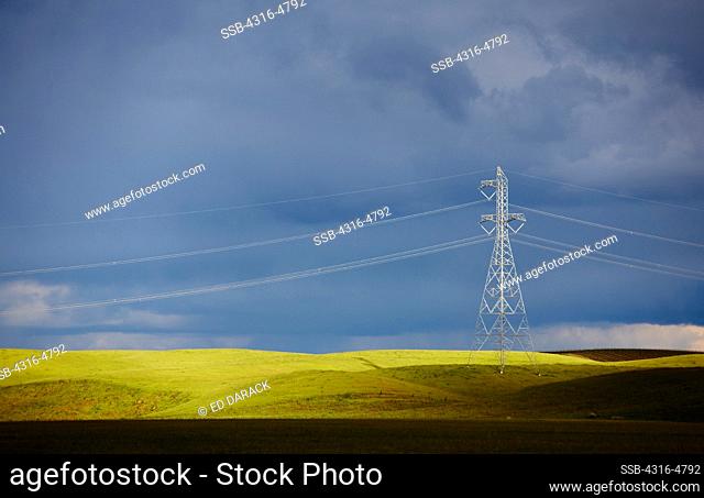 High voltage power lines and power line tower, California