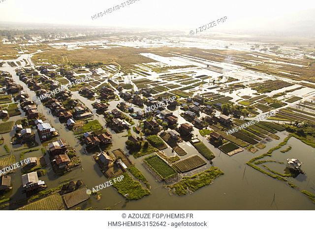 Myanmar, Shan State, Taunggyi District, Nyaung Shwe City, lacustrine habitat, floating gardens, floating tomato crops, houses on stilts (aerial view)