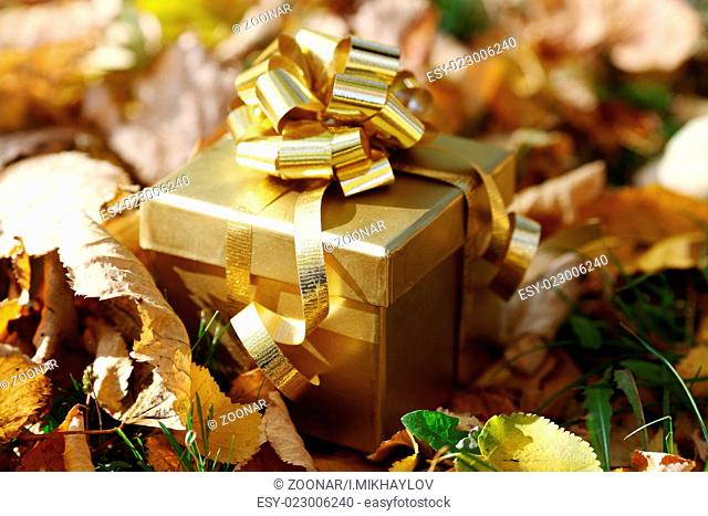 golden gift in autumn forest