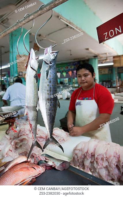 Vendors selling seafood at the fish section of the Lucas de Galvez market, Merida, Yucatan Province, Mexico, Central America
