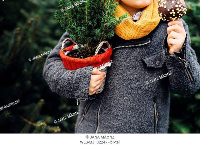 Happy boy preparing for Christmas , holding potted tree, eating chocolate dipped apple