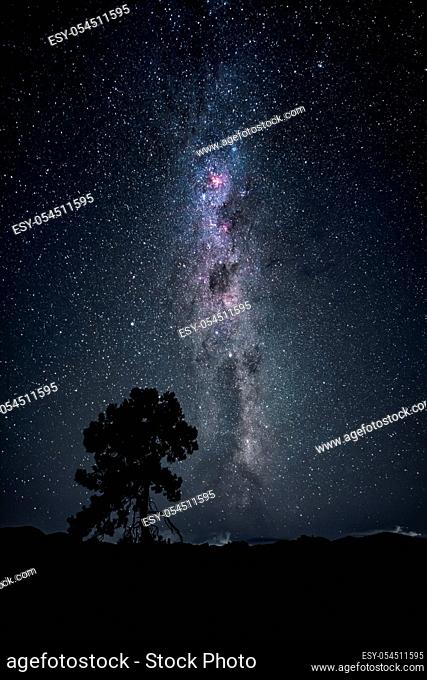 An image of a tree under the milky way night sky New Zealand February