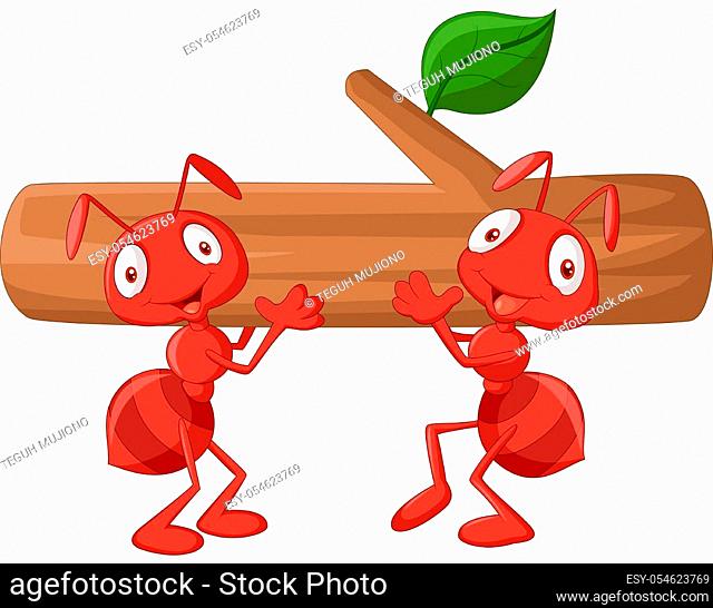 Team of ants carries log