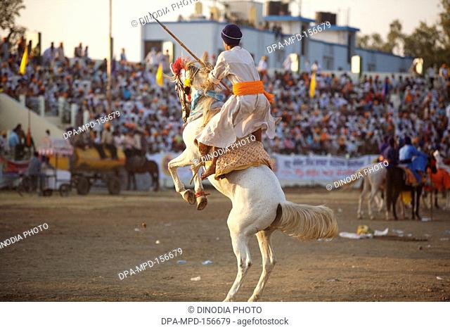 Nihangs or Sikh warriors on his horse showing stunts during cultural events for 300th year's celebrations of Consecration of perpetual Sikh Guru Granth Sahib at...
