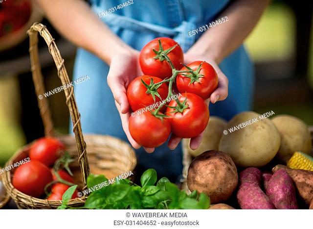Woman holding tomatoes on palm