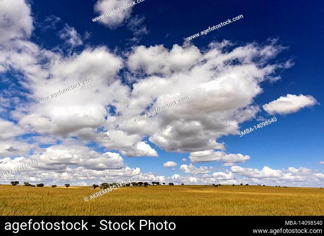 the vast landscape of the alentejo in portugal with blue sky and white clouds