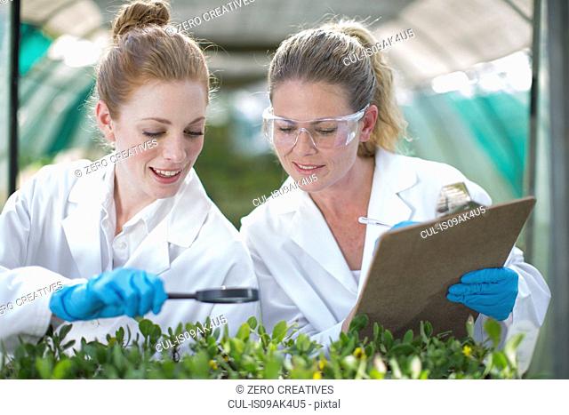 Two female scientists monitoring plant samples and recording data