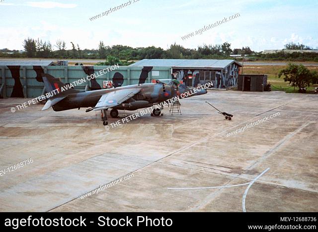 British Aerospace Harrier GR.3 XZ990 'F' of No.1417 Flight Royal Air Force, waiting for the next sortie at Foxy-Golf hide, Philip S. W
