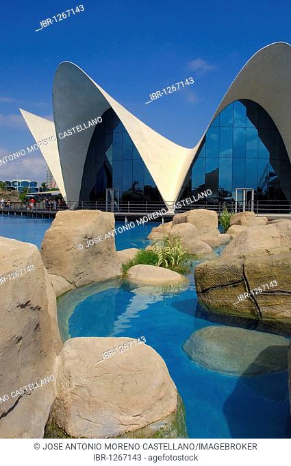 L'Oceanogràfic aquarium, City of Arts and Sciences by S. Calatrava, Valencia, Comunidad Valenciana, Spain, Europe